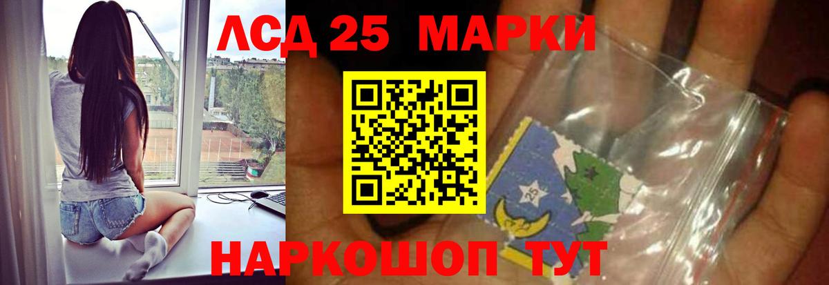 Лсд 25 экстази ecstasy  Вход с VPN  Новозыбков  Лсд 25 экстази кислота 
