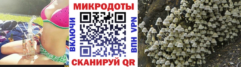 Галлюциногенные грибы мухоморы KRAKEN зеркало Новозыбков