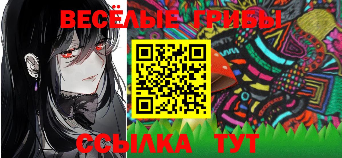 Галлюциногенные грибы Psilocybine cubensis Новозыбков