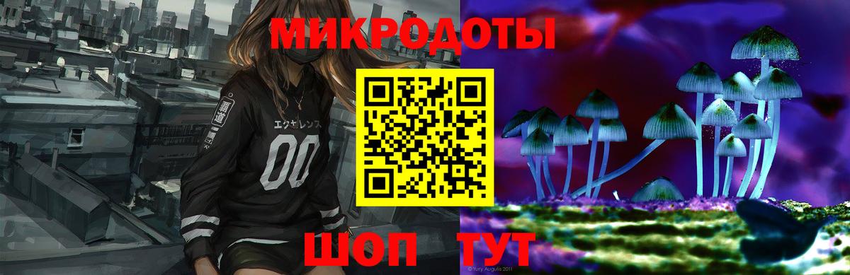 Галлюциногенные грибы Psilocybe  Вход с VPN  Новозыбков  Псилоцибиновые грибы мицелий 
