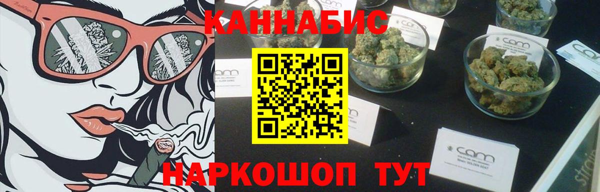 Новозыбков  Конопля White Widow  Вход с VPN  Бошки Шишки марихуана  Шишки марихуана планчик 